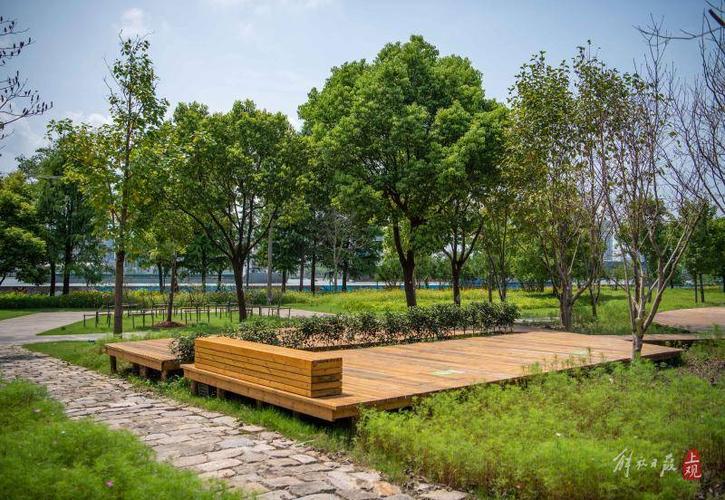 上海黄浦江东岸帐篷营地免费开放 都市中的自然栖息地